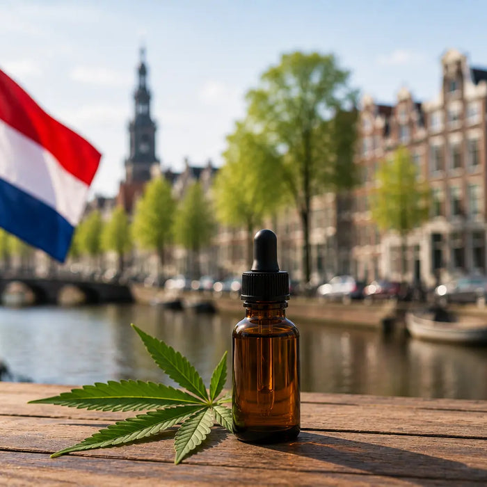 Where Can I Buy CBD in the Netherlands That Meets the 0.05% THC Limit?