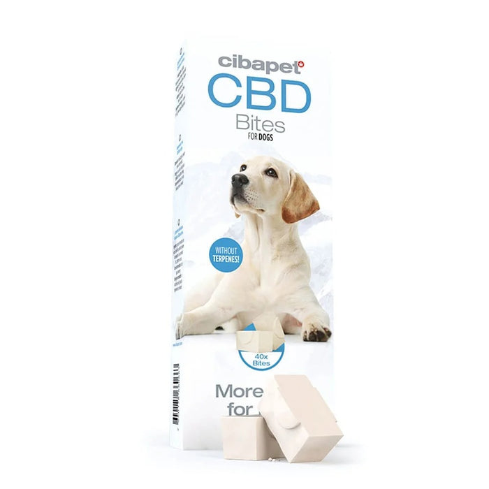 Cibdol Botanical Chews for Cats package of calming routine pet treats for feline composure