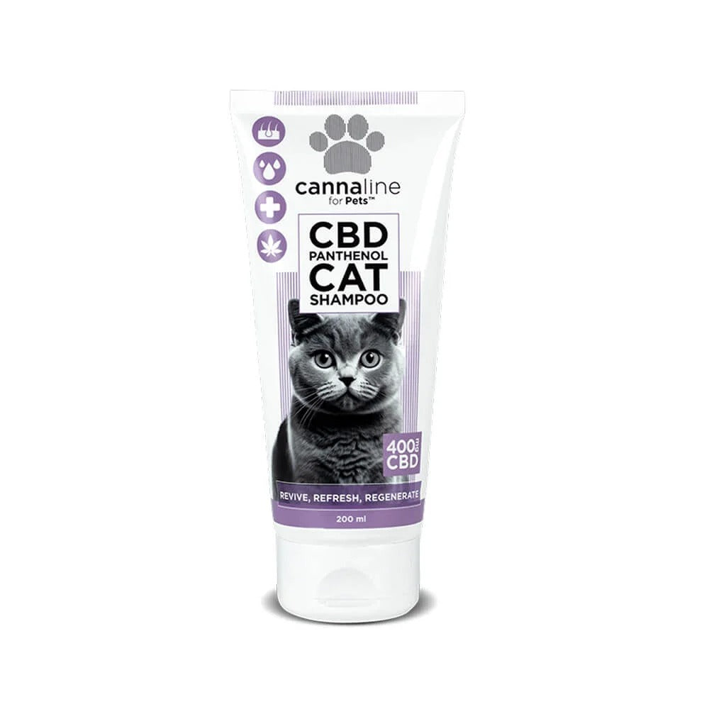 Pets For Cats